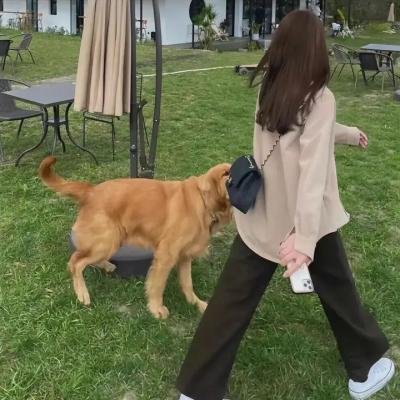 小子布里斯3海报