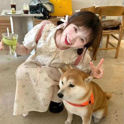 我养了个少年海报